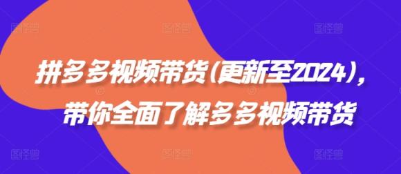 拼多多视频卖货(更新至2024)，陪你充分了解多多的短视频带货-天天有课网
