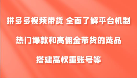 拼多多视频带货 全面了解平台机制、热门爆款和高佣金带货的选品，搭建高权重账号等-天天有课网
