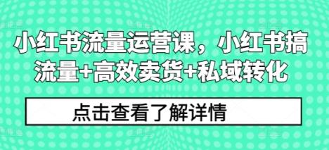 小红书流量运营课，小红书搞流量+高效卖货+私域转化-天天有课网