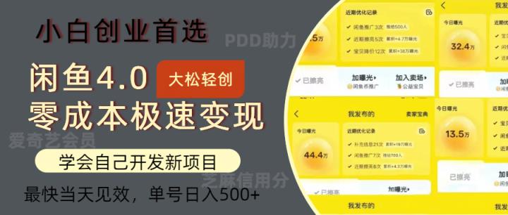 闲鱼0成本极速变现项目，多种变现方式 单号日入500+最新玩法-天天有课网