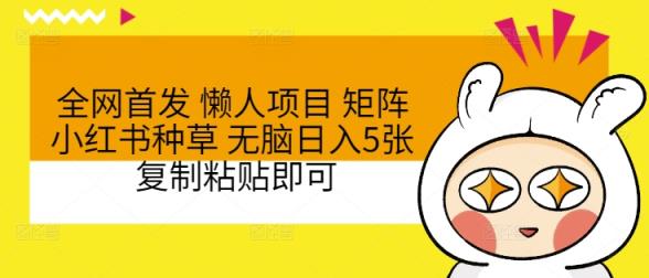 全网首发 懒人项目 矩阵小红书种草 无脑日入5张 复制粘贴即可-天天有课网