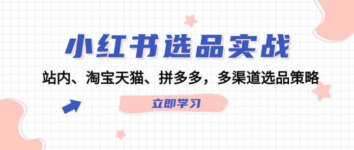 小红书选品实战：站内、淘宝天猫、拼多多，多渠道选品策略-天天有课网