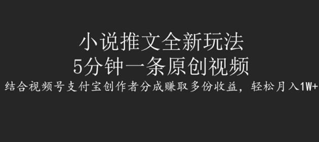 小说推文全新玩法，5分钟一条原创视频，结合视频号支付宝创作者分成赚取多份收益，轻松月入1W+-天天有课网