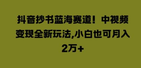 抖音抄书蓝海赛道，中视频变现全新玩法，小白也可月入2W+-天天有课网