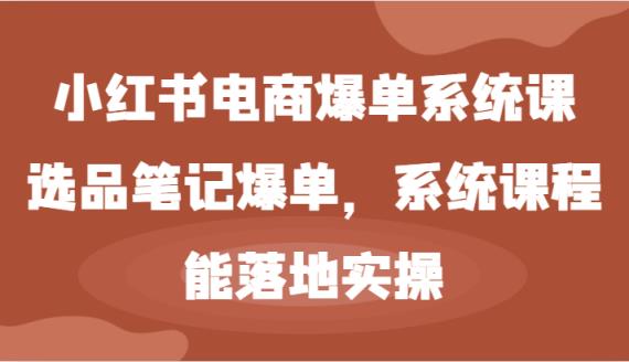 小红书电商爆单系统课-选品笔记爆单，系统课程，能落地实操-天天有课网