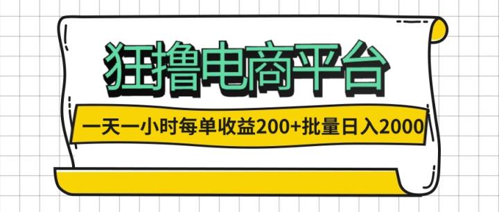 一天一小时 狂撸电商平台 每单收益200+ 批量日入2000+-天天有课网