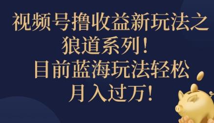 视频号暴力撸收益新玩法之狼道系列，目前蓝海玩法轻松月入过万-天天有课网