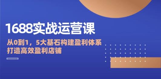 1688实战运营课：从0到1，5大基石构建盈利体系，打造高效盈利店铺-天天有课网