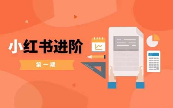 小红书进阶篇，零基础小白实战课，普通人变现的课程-天天有课网
