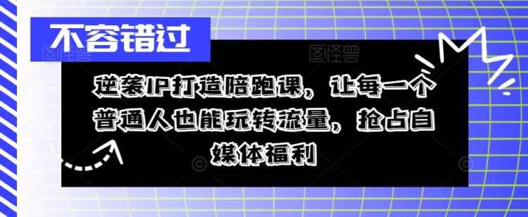逆袭IP打造陪跑课，让每一个普通人也能玩转流量，抢占自媒体福利-天天有课网