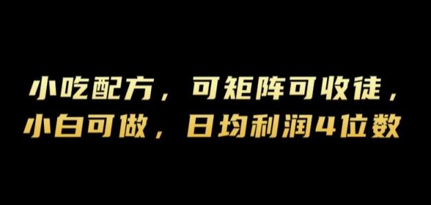 小吃配方，可矩阵可收徒，小白可做，日均利润4位数-天天有课网
