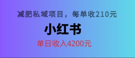 小红书减肥私域项目，每单210元，单日可卖出15单，利润3150-天天有课网