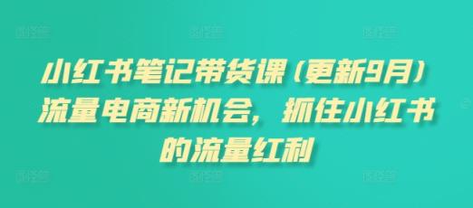 小红书笔记带货课(更新9月)流量电商新机会，抓住小红书的流量红利-天天有课网