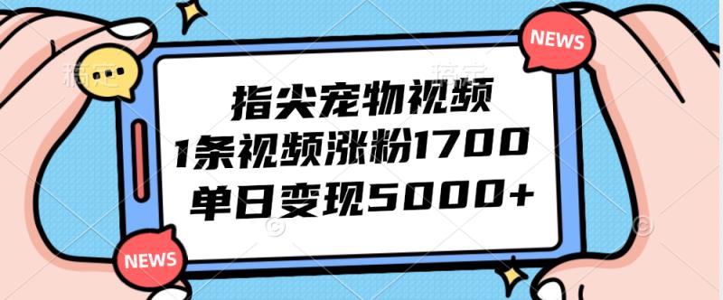 指尖宠物视频，1条视频涨粉1700，单日变现5000+-天天有课网