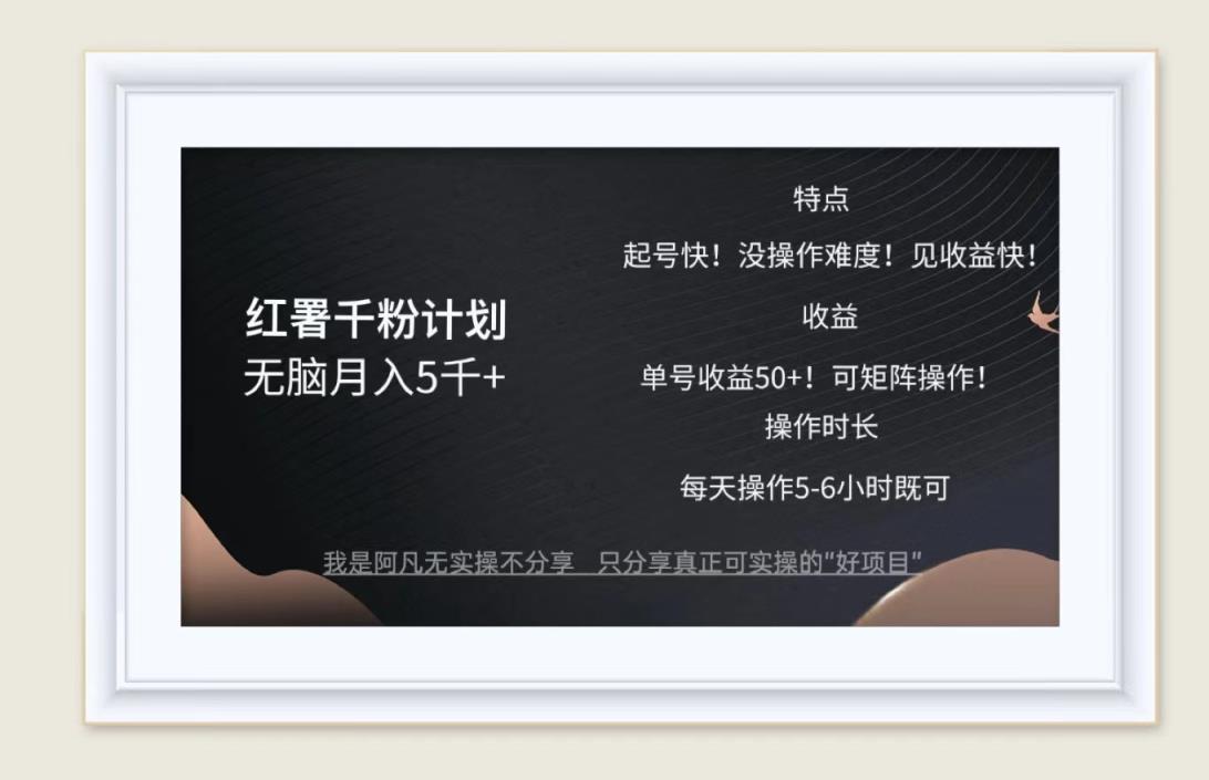红薯千粉计划无脑月入5千+！既做既赚！-天天有课网
