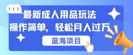 最新成人用品项目玩法，操作简单，动动手，轻松日入几张【揭秘】-天天有课网