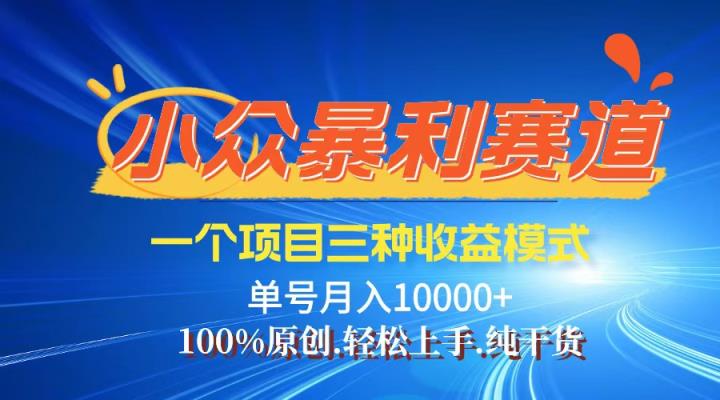 【老人言】-视频号爆火赛道，三种变现方式，0粉新号调调爆款-天天有课网