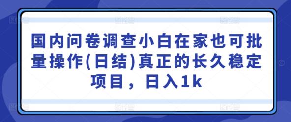 国内问卷调查小白在家也可批量操作(日结)真正的长久稳定项目，日入1k【揭秘】-天天有课网