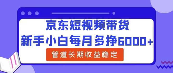 新手小白每月多挣6000+京东短视频带货，可管道长期稳定收益-天天有课网