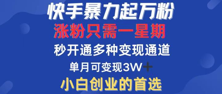 快手暴力起万粉，涨粉只需一星期，多种变现模式，直接秒开万合，小白创…-天天有课网