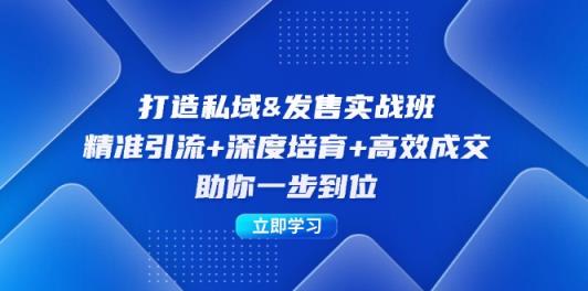 打造私域&发售实操班：精准引流+深度培育+高效成交，助你一步到位-天天有课网