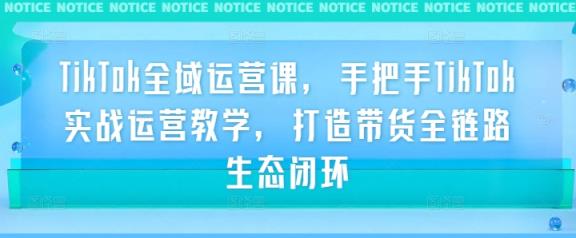 TikTok全域运营课，手把手TikTok实战运营教学，打造带货全链路生态闭环-天天有课网