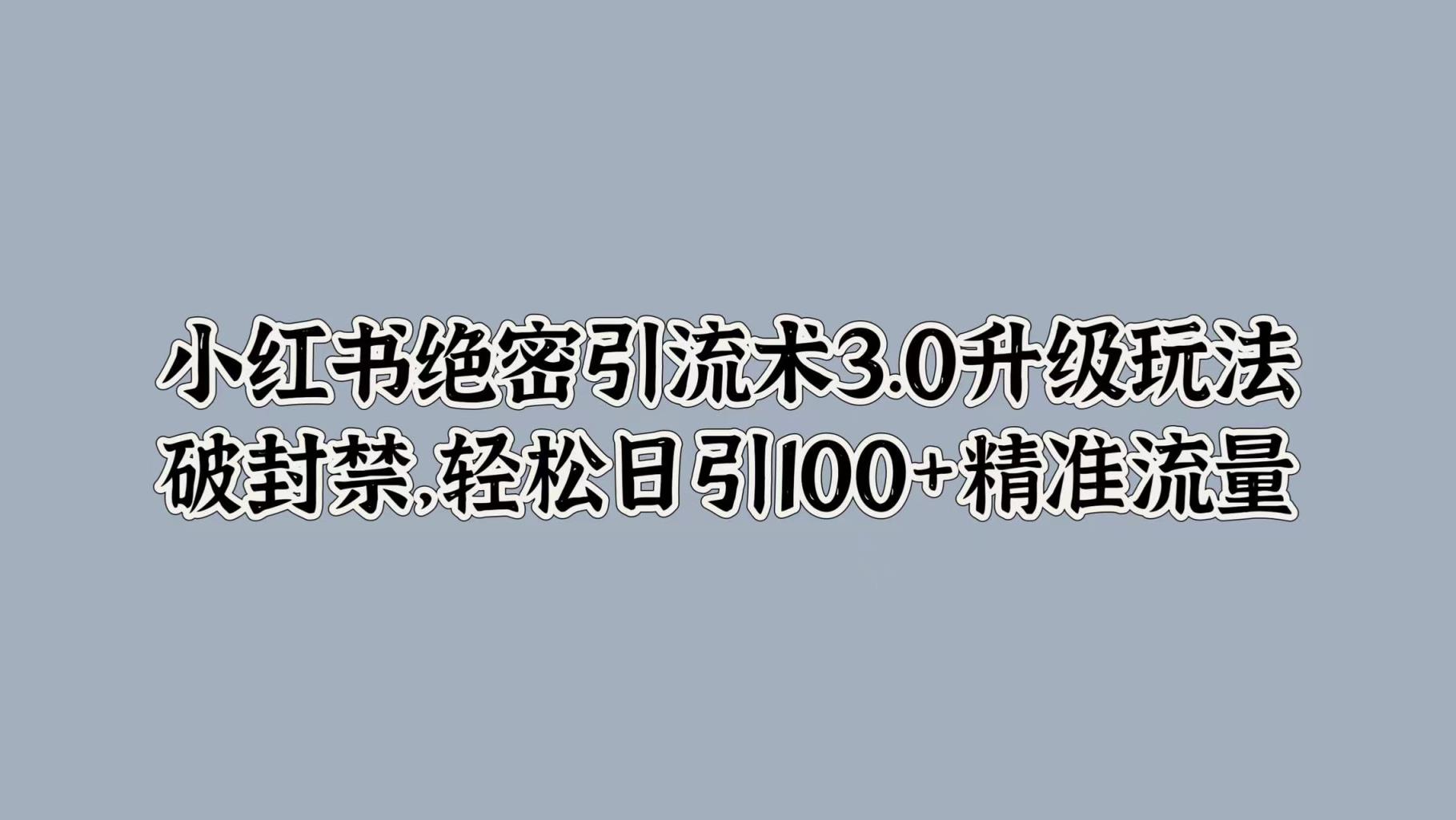 小红书绝密引流术3.0升级玩法，破封禁，轻松日引100+精准流量-天天有课网