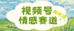 视频号情感赛道新玩法，可同步多平台，妥妥的流量密码，轻轻松松月入过万-天天有课网
