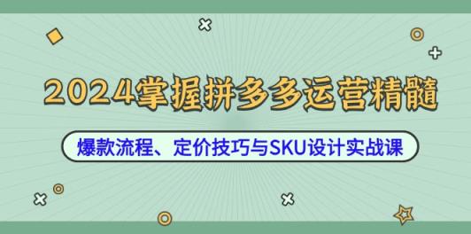 2024掌握拼多多运营精髓：爆款流程、定价技巧与SKU设计实战课-天天有课网