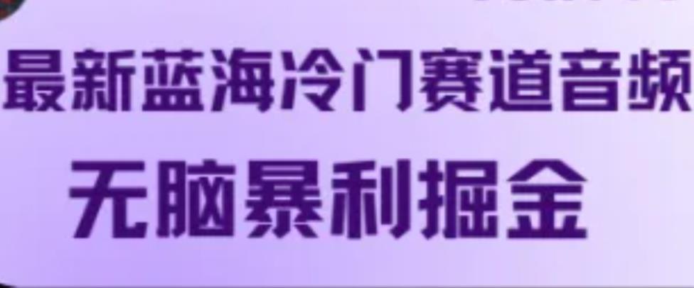 最新蓝海冷门赛道音频，无脑暴利掘金-天天有课网