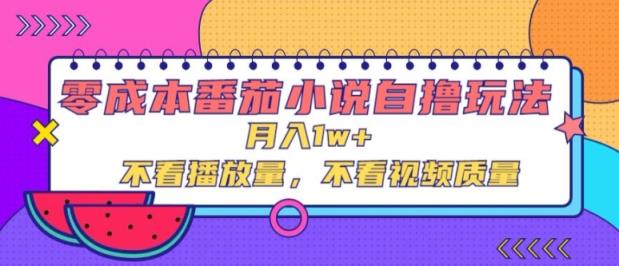 零成本番茄小说自撸玩法，不看播放量，不看视频质量-天天有课网