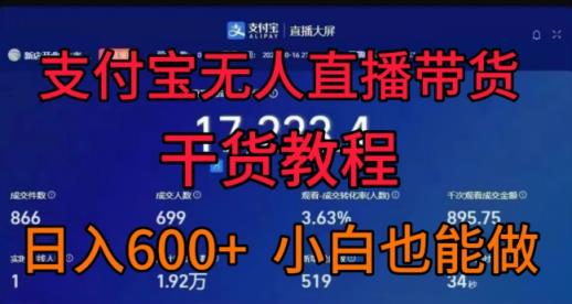 支付宝无人直播带货干货教程，日入几张， 小白也能做-天天有课网