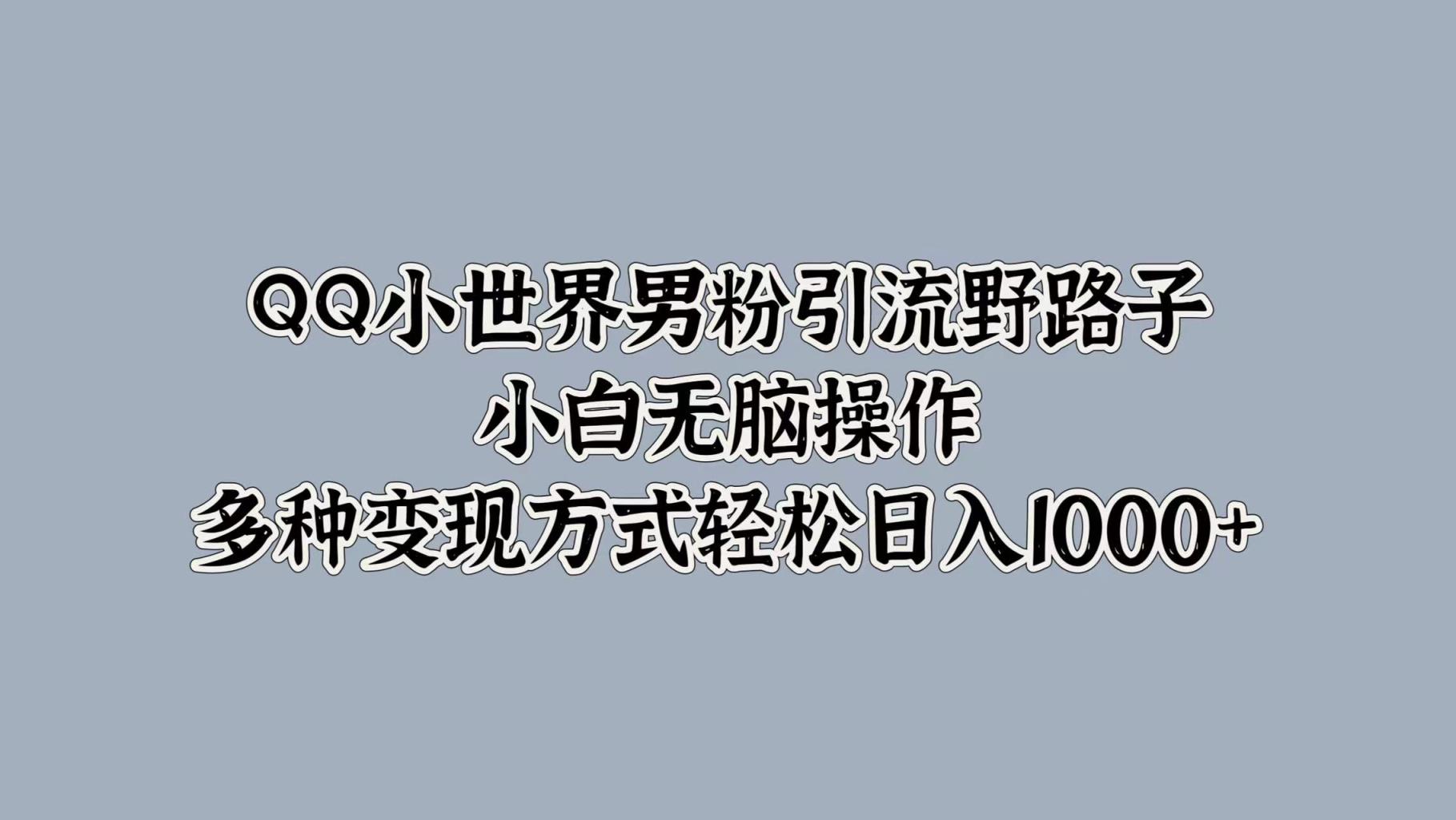 QQ小世界男粉引流野路子，小白无脑操作，多种变现方式-天天有课网