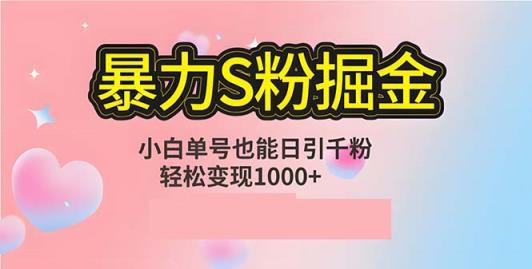 单人单机日引千粉，变现1000+，S粉流量掘金计划攻略-天天有课网