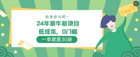 24年最牛新项目，低成本，0门槛 ，一单就是30块，轻松月入1w-天天有课网