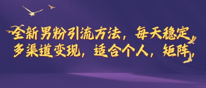 全新男粉引流方法，每天稳定加人，适合个人，矩阵，多渠道变现-天天有课网