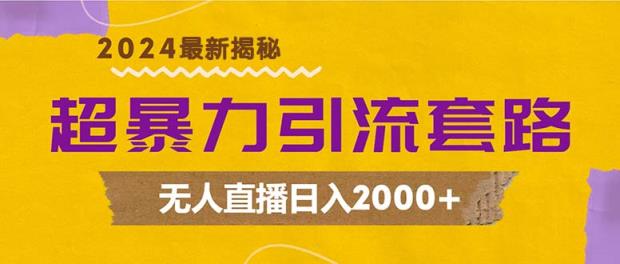 超暴力引流套路，无人直播日入2000+-天天有课网
