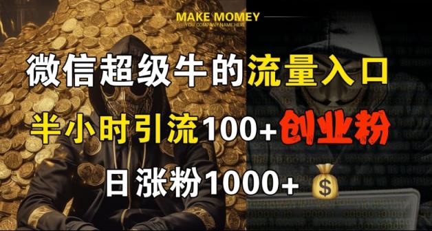 微信超级牛的流量入口，半小时引流100+创业粉，日涨粉1000+-天天有课网