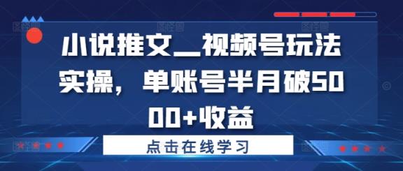 小说推文—视频号玩法实操，单账号半月破5000+收益-天天有课网