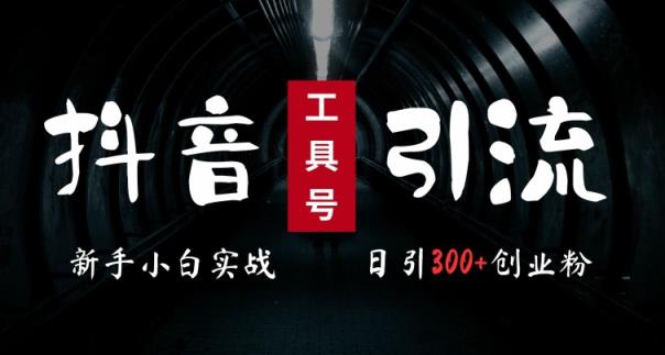 2024最新抖音工具号引流玩法，高效日引300+创业粉，当天变现5k，小白也可成为实战高手-天天有课网