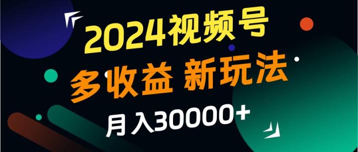 2024视频号多收益的新玩法，月入3w+，新手小白都能简单上手！-天天有课网