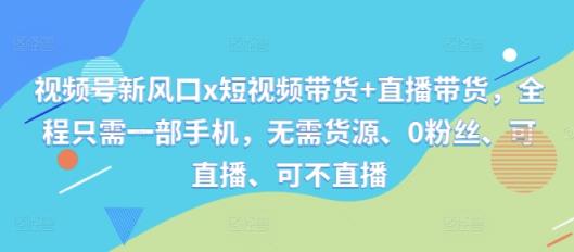 视频号新风口x短视频带货+直播带货，全程只需一部手机，无需货源、0粉丝、可直播、可不直播-天天有课网