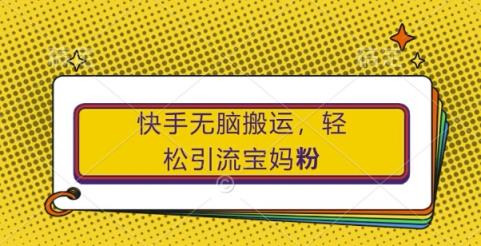快手无脑搬运，轻松引流宝妈粉，纯小白轻松上手【揭秘】-天天有课网