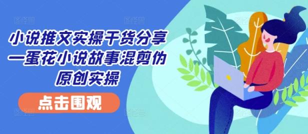 小说推文实操干货分享—蛋花小说故事混剪伪原创实操-天天有课网