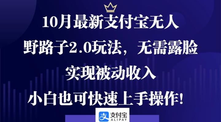 10月最新支付宝无人野路子2.0玩法，无需露脸，实现被动收入，小白也可…-天天有课网