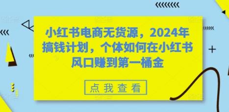 小红书电商无货源，2024年搞钱计划，个体如何在小红书风口赚到第一桶金-天天有课网