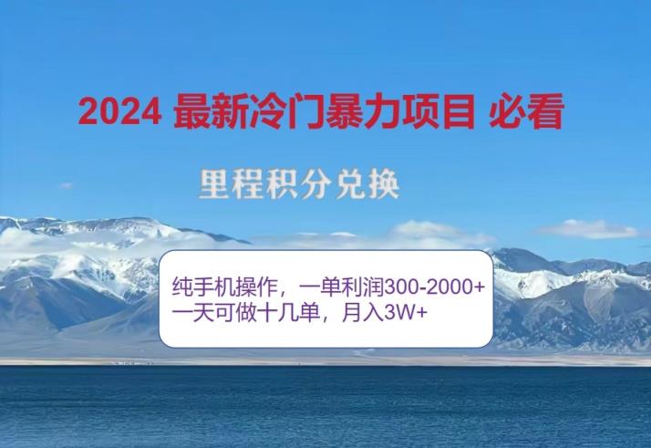 2024惊爆冷爆利，里程积分全新游戏玩法，高风口期，一单300 —2000-天天有课网