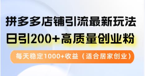 拼多多商家引流方法全新游戏玩法，日引200 高品质自主创业粉，每日平稳1000 盈利（…-天天有课网