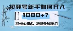 视频号新手如何日1000+？三种收益模式，0粉新号也能热门-天天有课网
