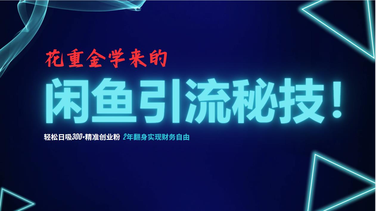 花大价钱学到的闲鱼引流绝技！轻轻松松日吸300 精确自主创业粉，每日躺着赚钱5000 ，2…-天天有课网